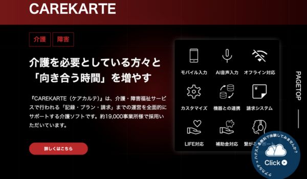 ケアカルテ_HPキャプチャ